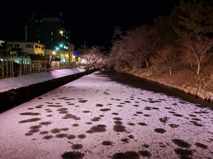 ライトアップの様子2