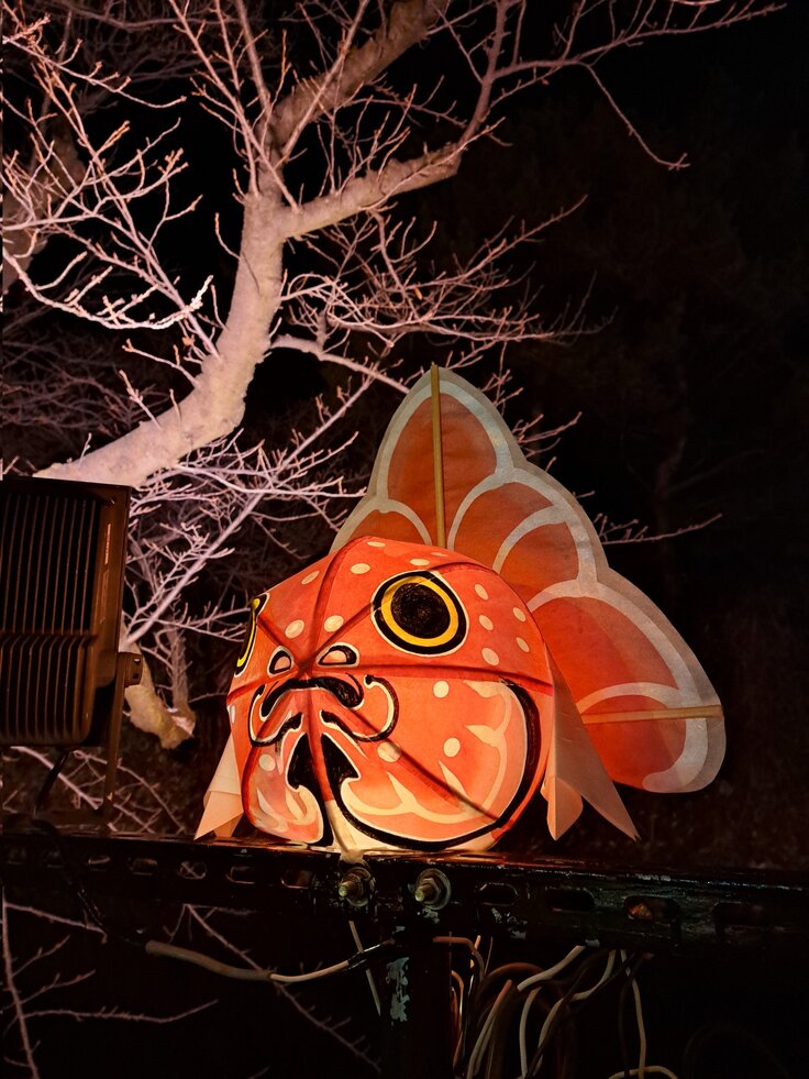 ライトアップの様子3