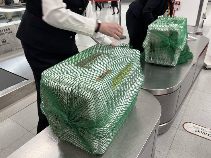 417686844_737366708359493_504130989062574904_n (1).jpg