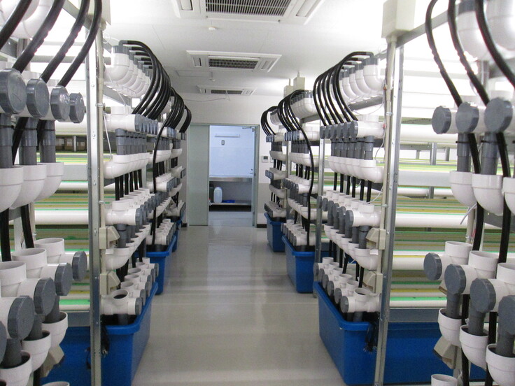 栽培用育成装置