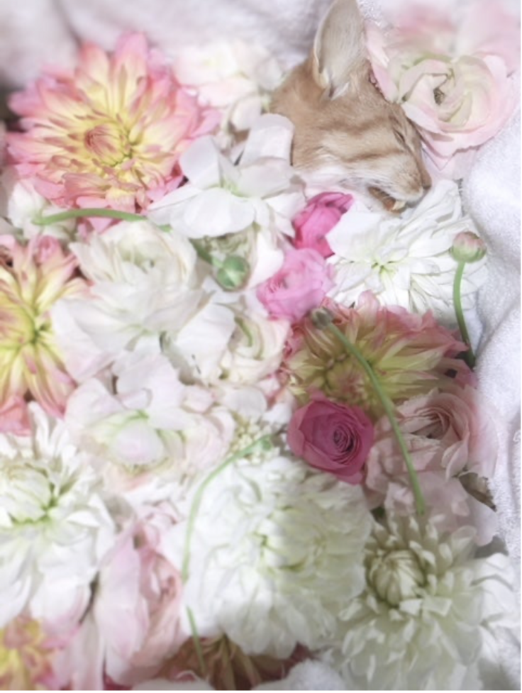 スクリーンショット 2024-02-18 14.43.26.png