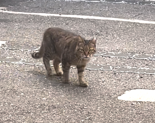 スクリーンショット 2024-02-01 14.44.00.png