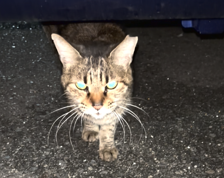 スクリーンショット 2024-02-22 13.51.36.png