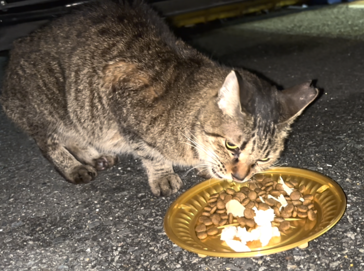 スクリーンショット 2024-02-24 0.18.38.png