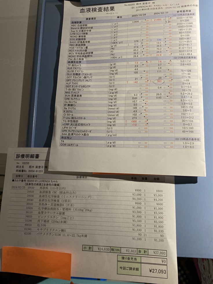 image 16のコピー3.jpg