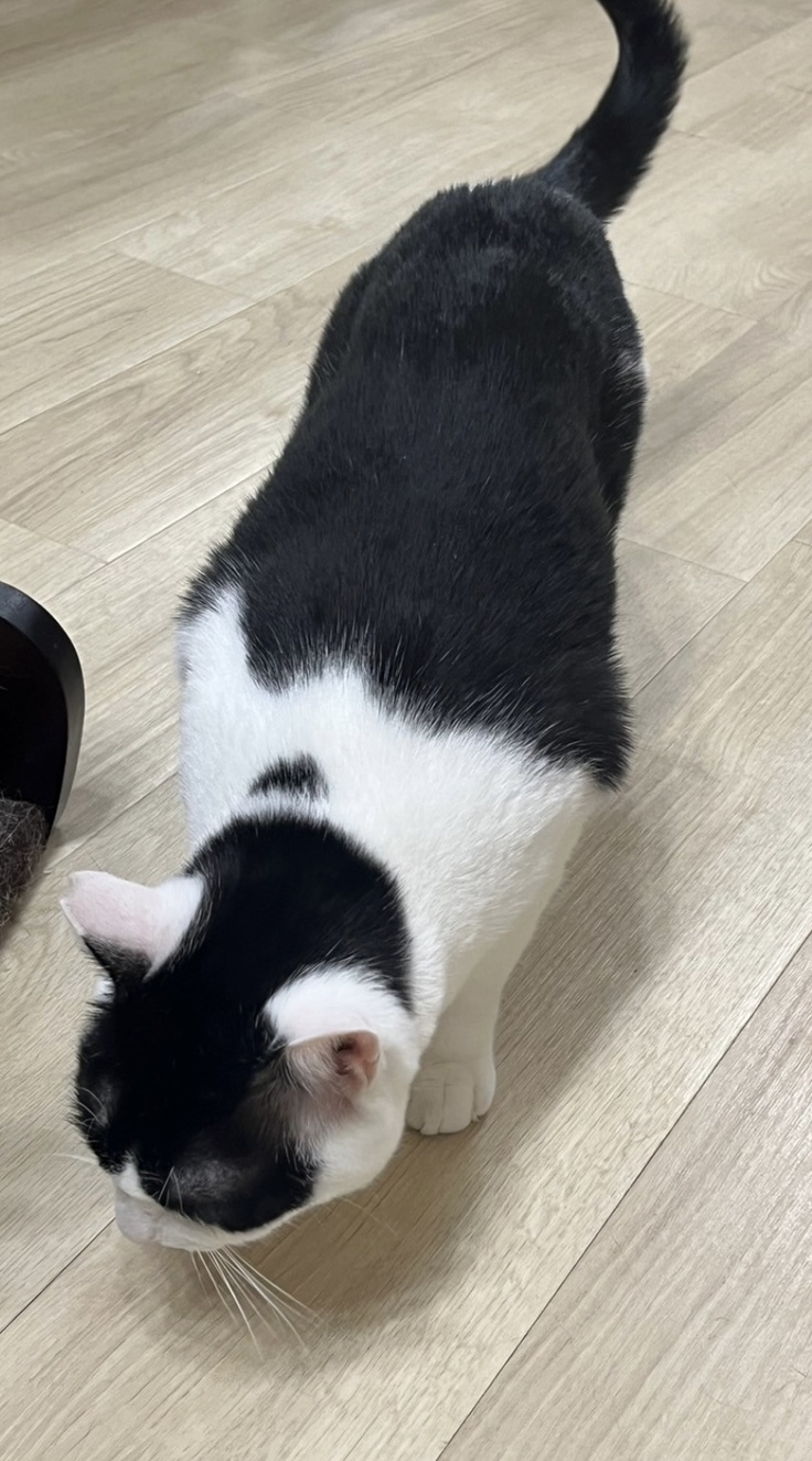 元気になった姿