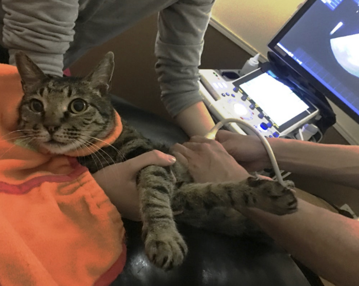 スクリーンショット 2024-03-02 22.40.23.png