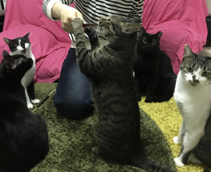 スクリーンショット 2024-03-02 22.43.15.png