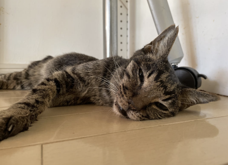 スクリーンショット 2024-03-02 22.41.14.png