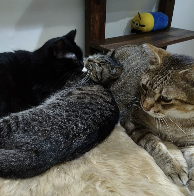 スクリーンショット 2024-03-02 23.05.13.png