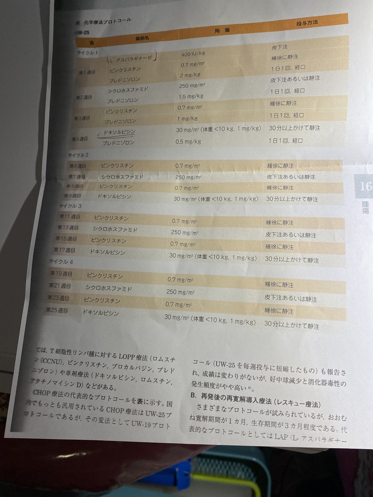 image 16のコピー.jpg