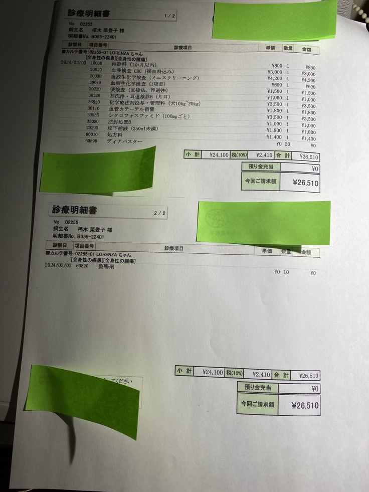 image 16のコピー3.jpg