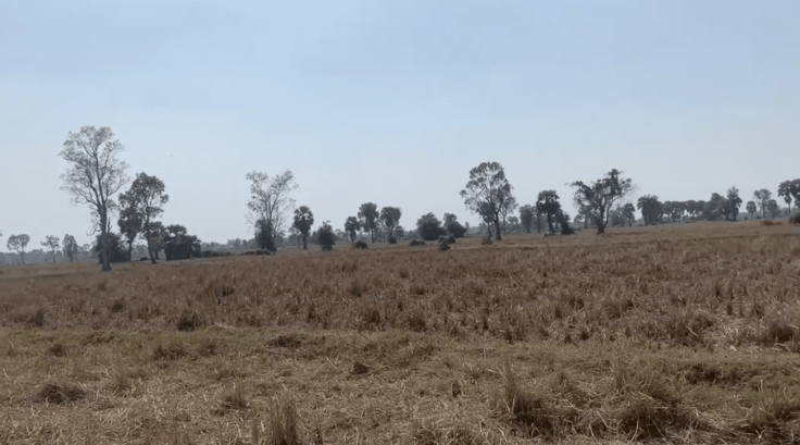 スクリーンショット 2024-03-05 21.40.11.png