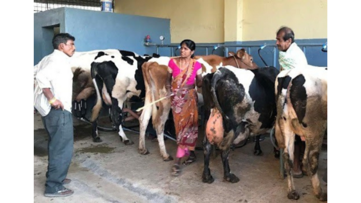 今年も始まりますCSIチャレンジテーマは生物多様性ということですけれども 個人の方がなかなか社会的投資の実践に参加する機会が日本では多くないですが寄付という形で小 (2).png