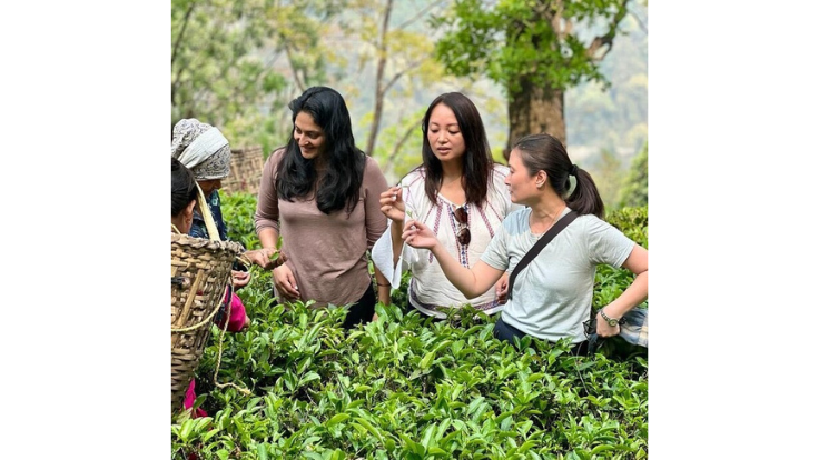 今年も始まりますCSIチャレンジテーマは生物多様性ということですけれども 個人の方がなかなか社会的投資の実践に参加する機会が日本では多くないですが寄付という形で小 (3).png