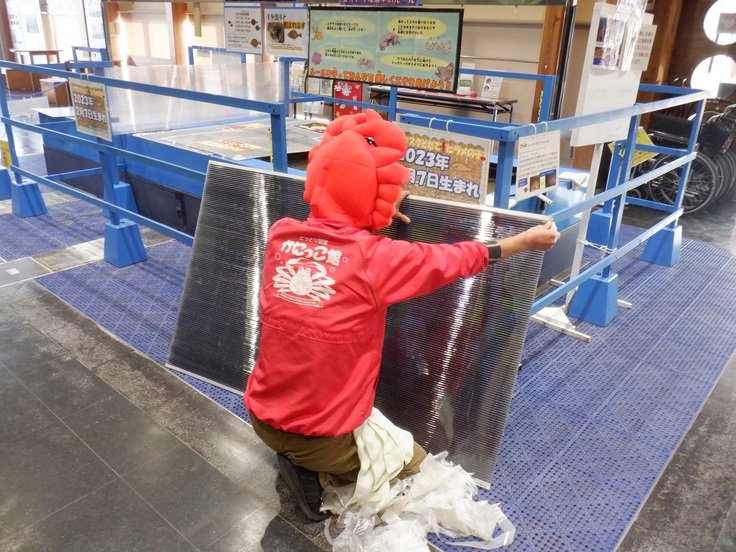 注）普段は被り物はしておりません