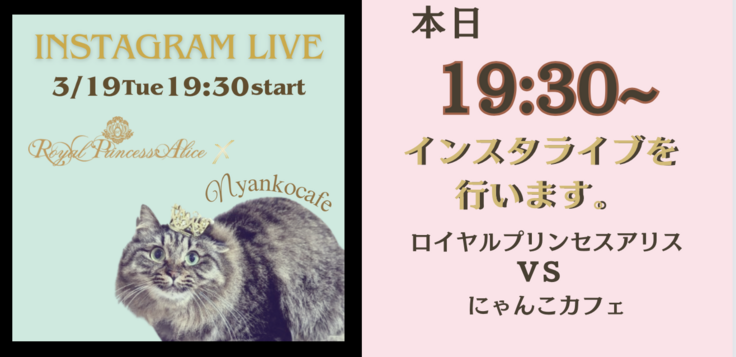 スクリーンショット 2024-03-19 8.43.15.png