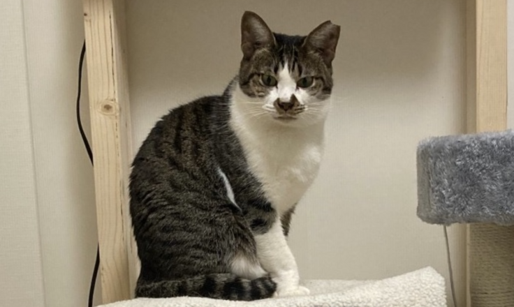 スクリーンショット 2024-03-20 17.05.37.png