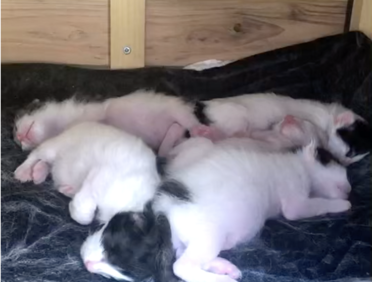 スクリーンショット 2024-03-21 16.17.47.png