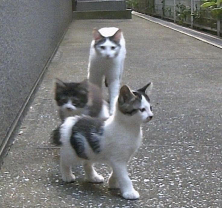 スクリーンショット 2024-03-21 16.24.20.png