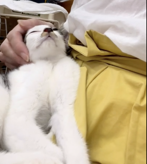 スクリーンショット 2024-03-21 18.26.17.png