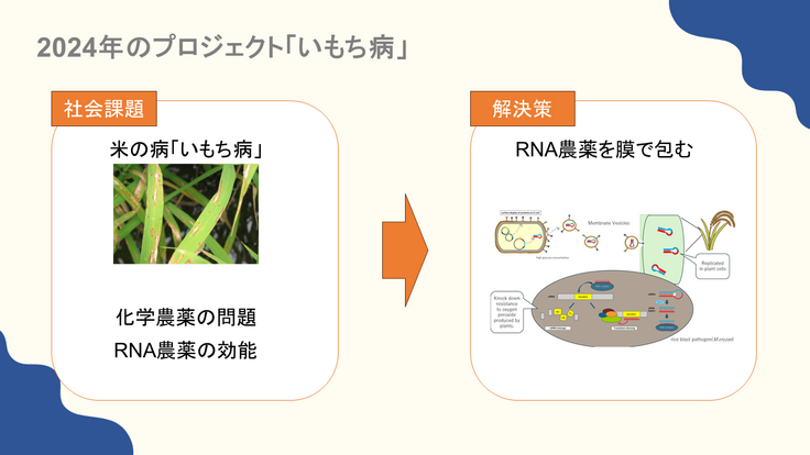 プロジェクトの1枚画