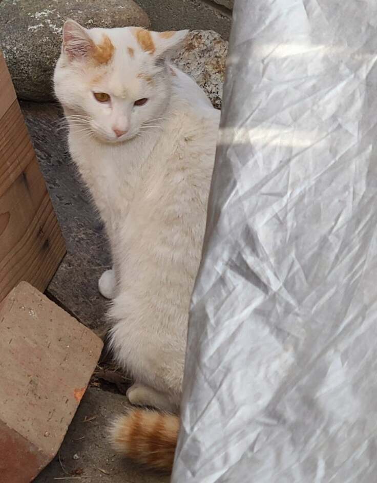 o0843108015414979532 (1).jpg