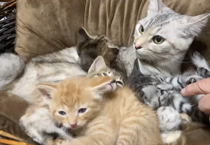 スクリーンショット 2024-03-22 21.55.02.png