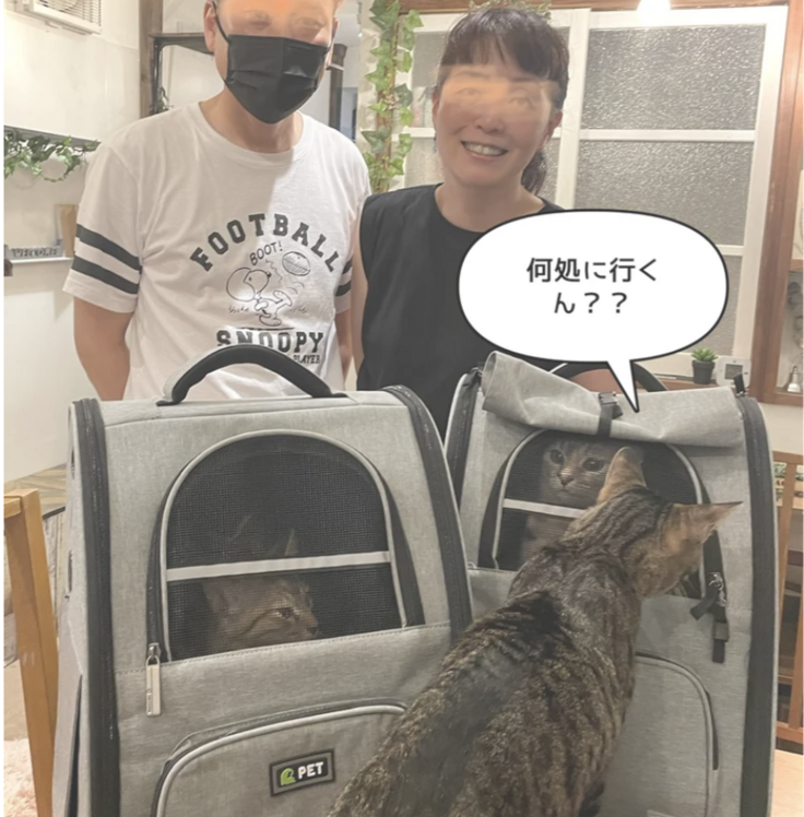 スクリーンショット 2024-03-22 22.06.10.png