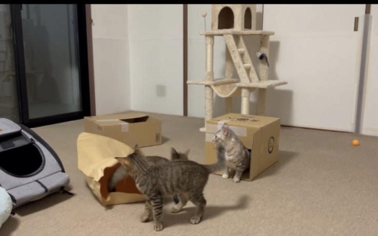 スクリーンショット 2024-03-22 22.08.21.png