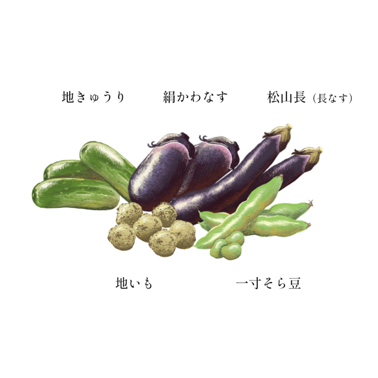 愛媛の伝統野菜