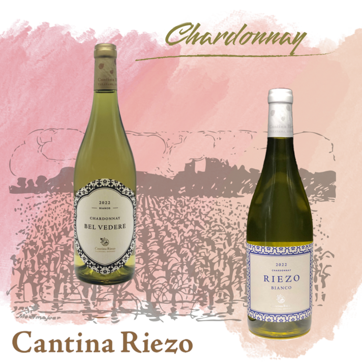 シャルドネ_cd00