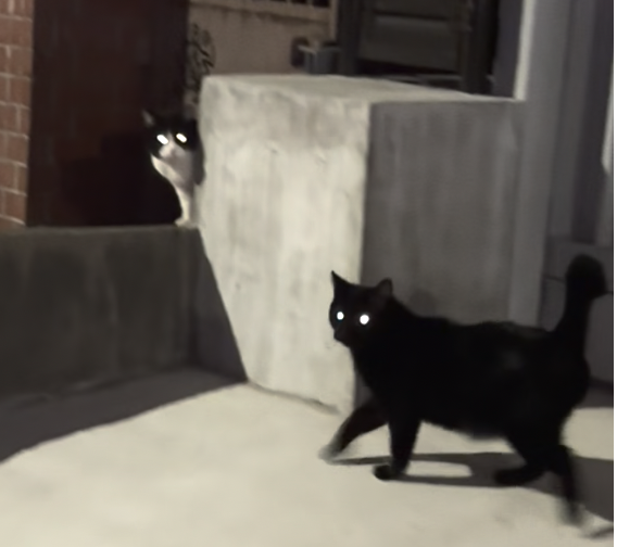 スクリーンショット 2024-03-28 16.46.13.png