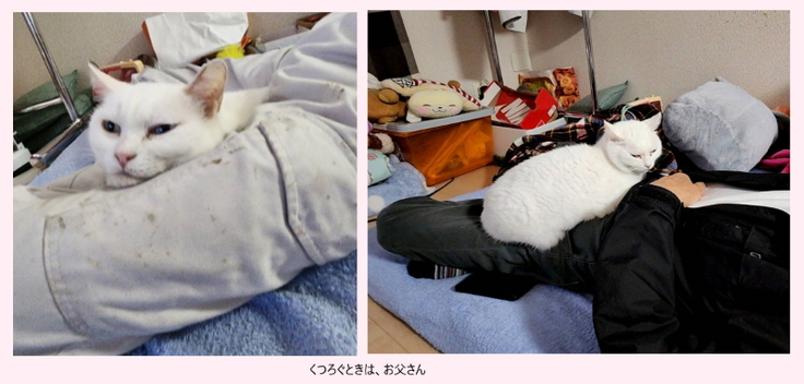 くつろぐときは、おとうさんといっしょ