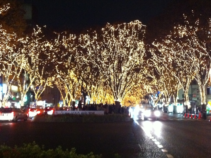 光のページェント