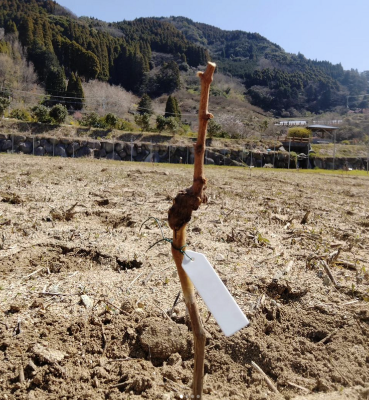 スクリーンショット 2024-04-01 23.17.50.png