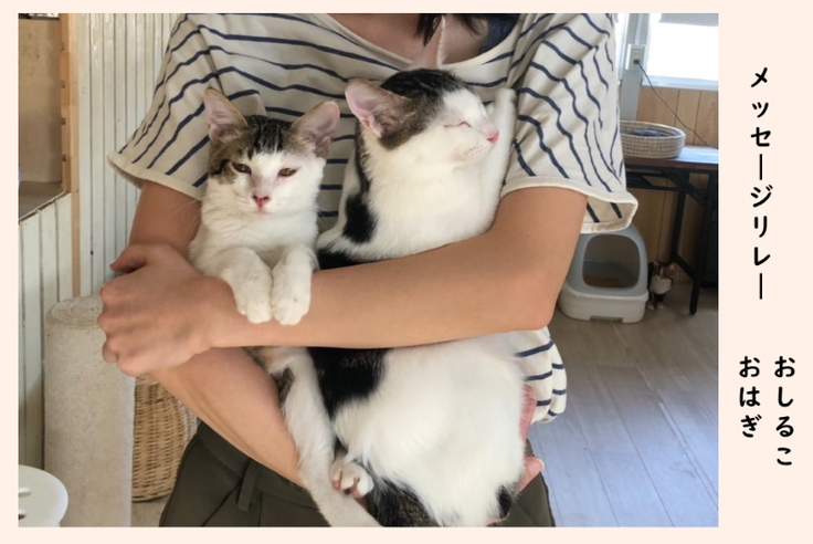 おはぎ　おしるこ