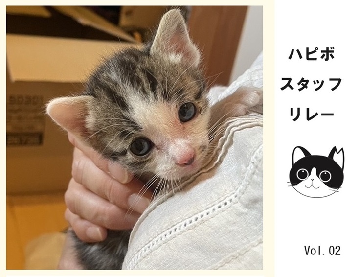 スタッフリレー