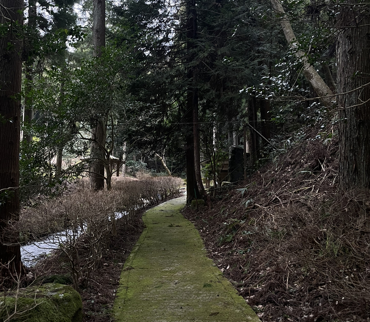 草木に覆われ、どこか厳かな雰囲気のある道の先に湧き水があります