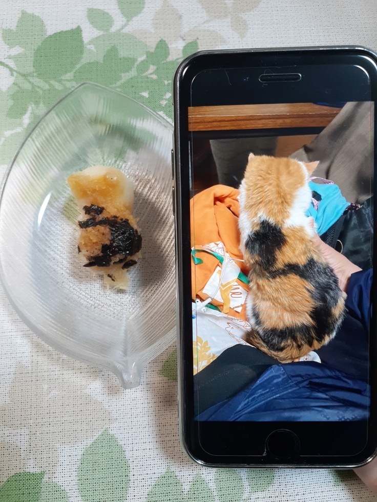 大根おろしで作ったミニー