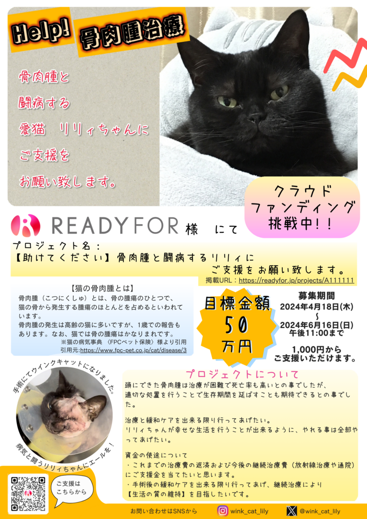 クラウドファンディング 挑戦中!！.png