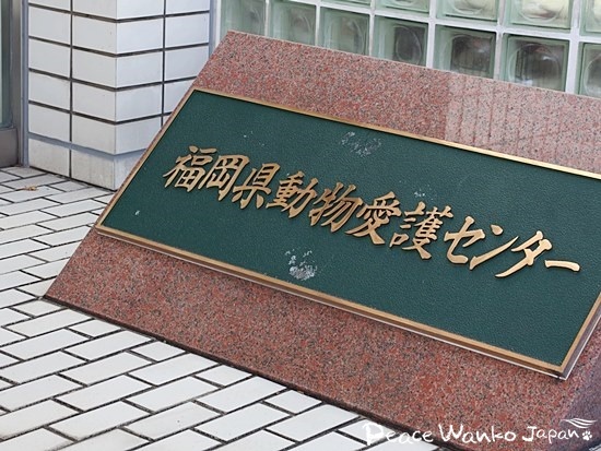 ピースワンコ初となる福岡県動物愛護センターからの引き出し