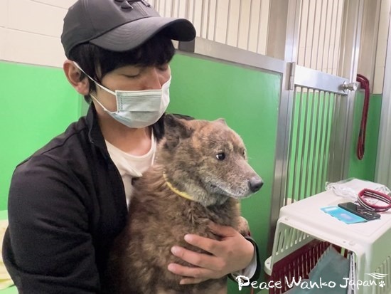 抱っこするときも首輪を変える時もおとなしくしていた「コアラ」