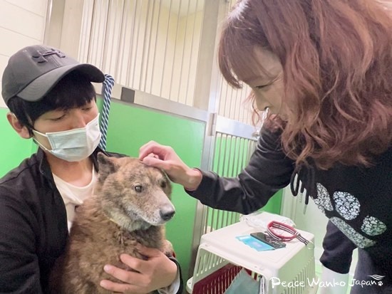 今回の引き出して連携した福岡の動物福祉団体ハッピースマイルさんと