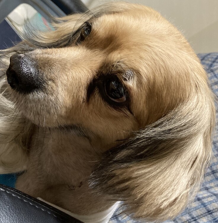 2024-04-24 15.23 (1).jpeg