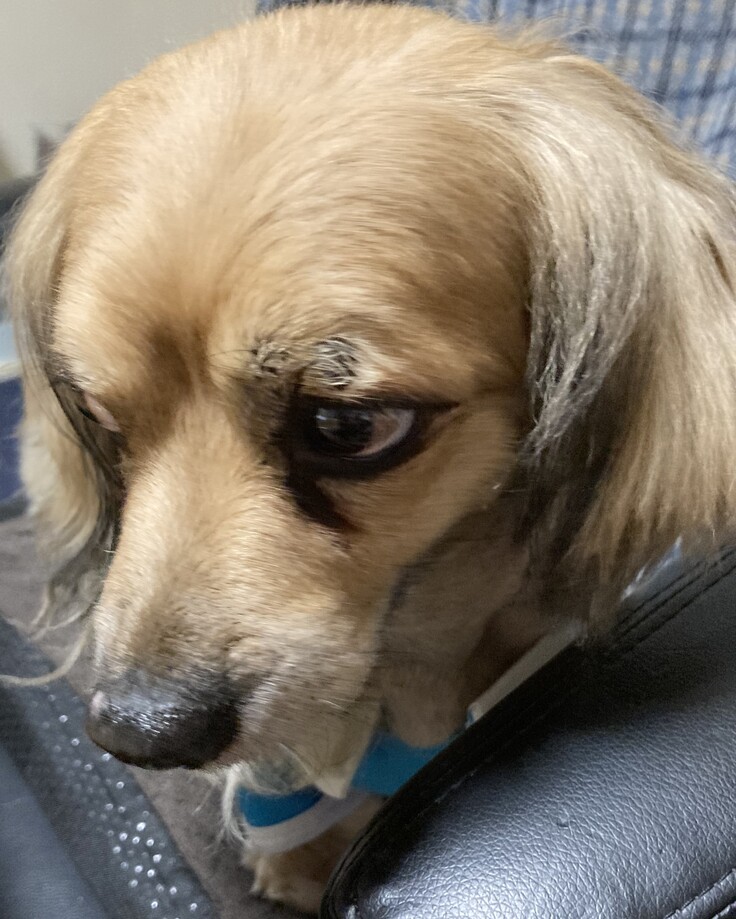 2024-04-24 15.23.jpeg