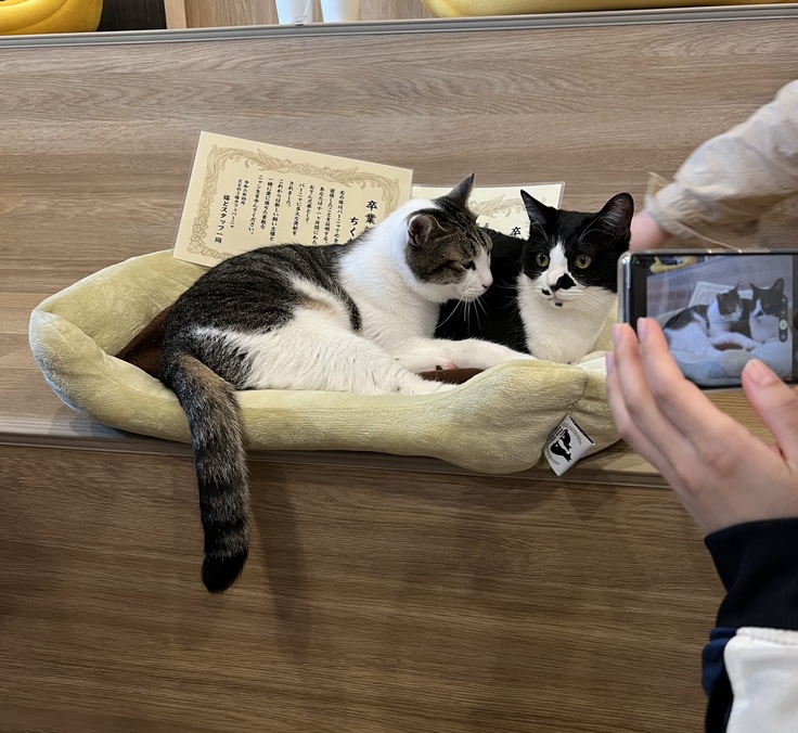 1#78m1+8098 MaaRANUACad 94+11-XR99 7.jpeg