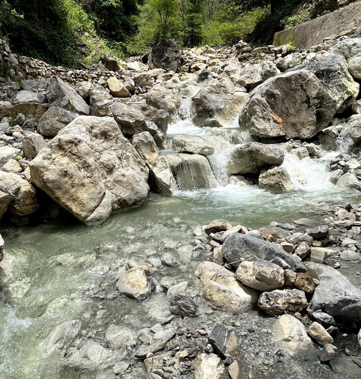 東ティモールの自然