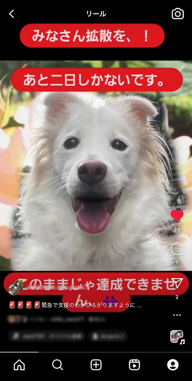 thumbnail_IMG_8640 のコピー.jpg