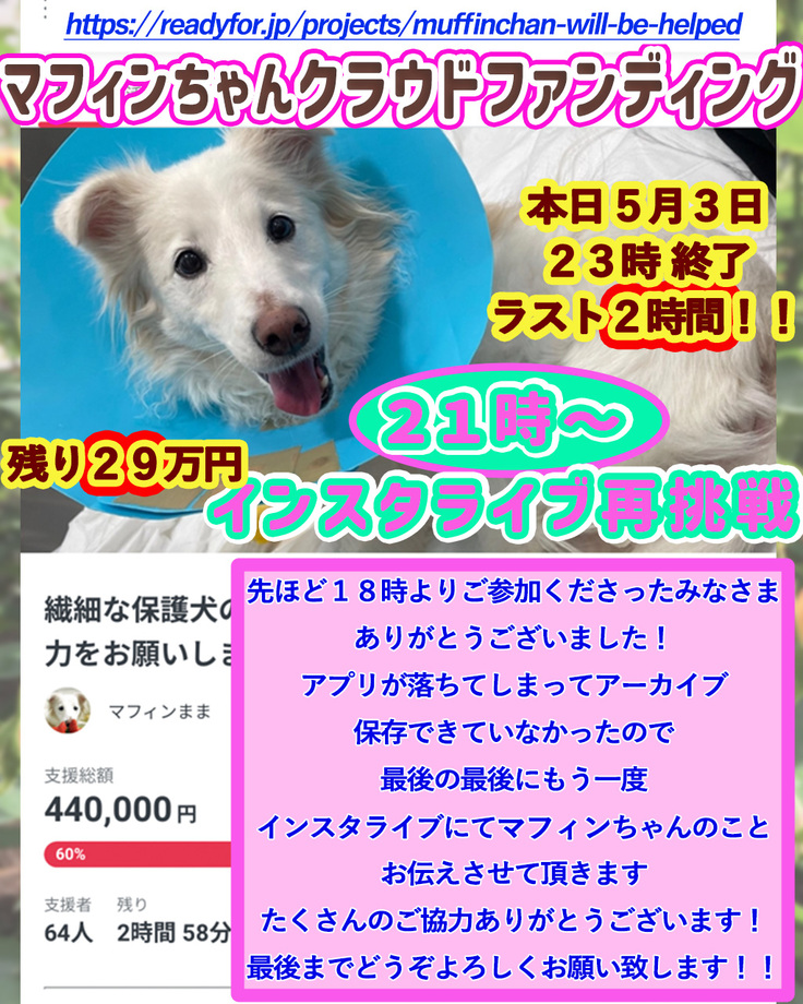 ラストライブ 2.jpg